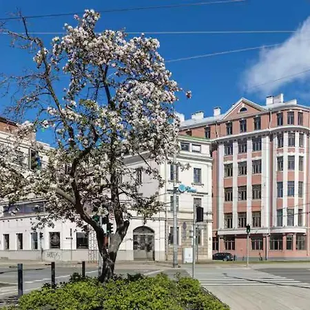 Minimalist In Old Town